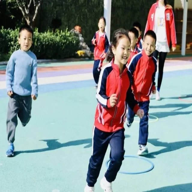 数据解读篮球季后赛走势与关键变化